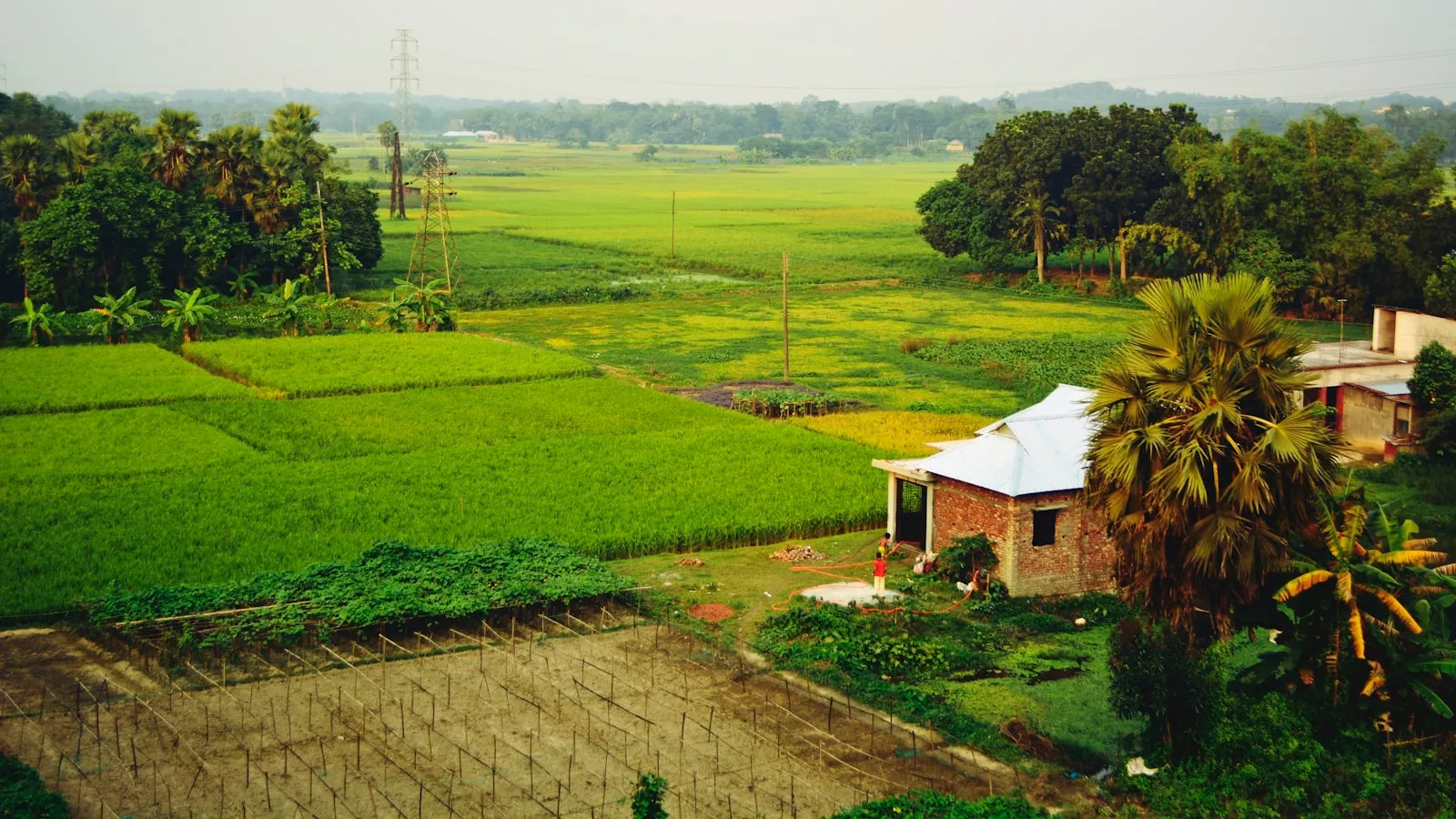 A lush green field with a house in the middle