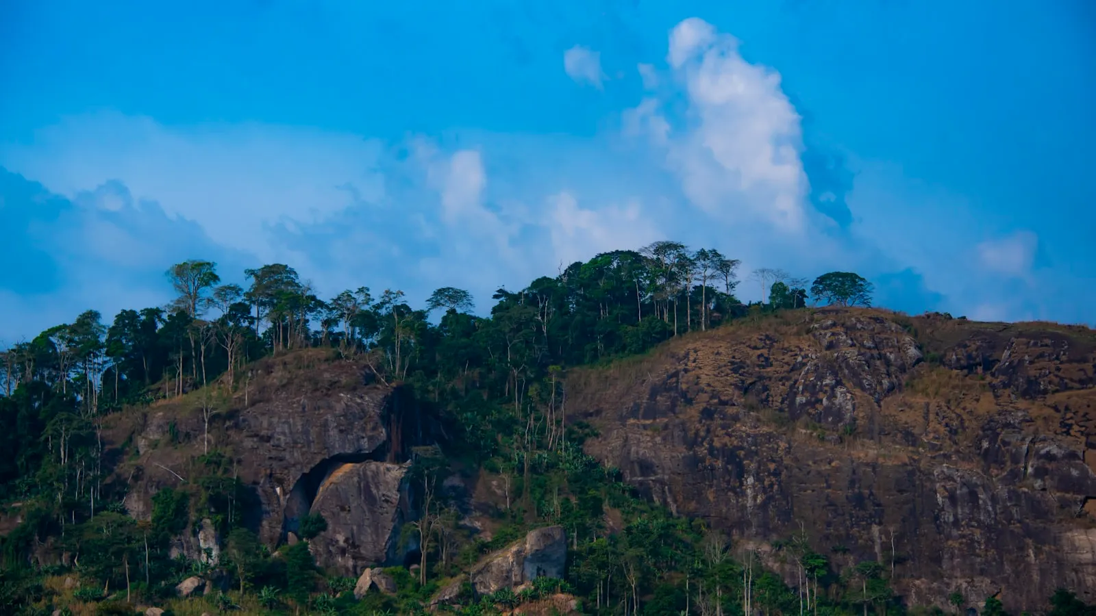 Green trees on brown mountain under blue sky during daytime