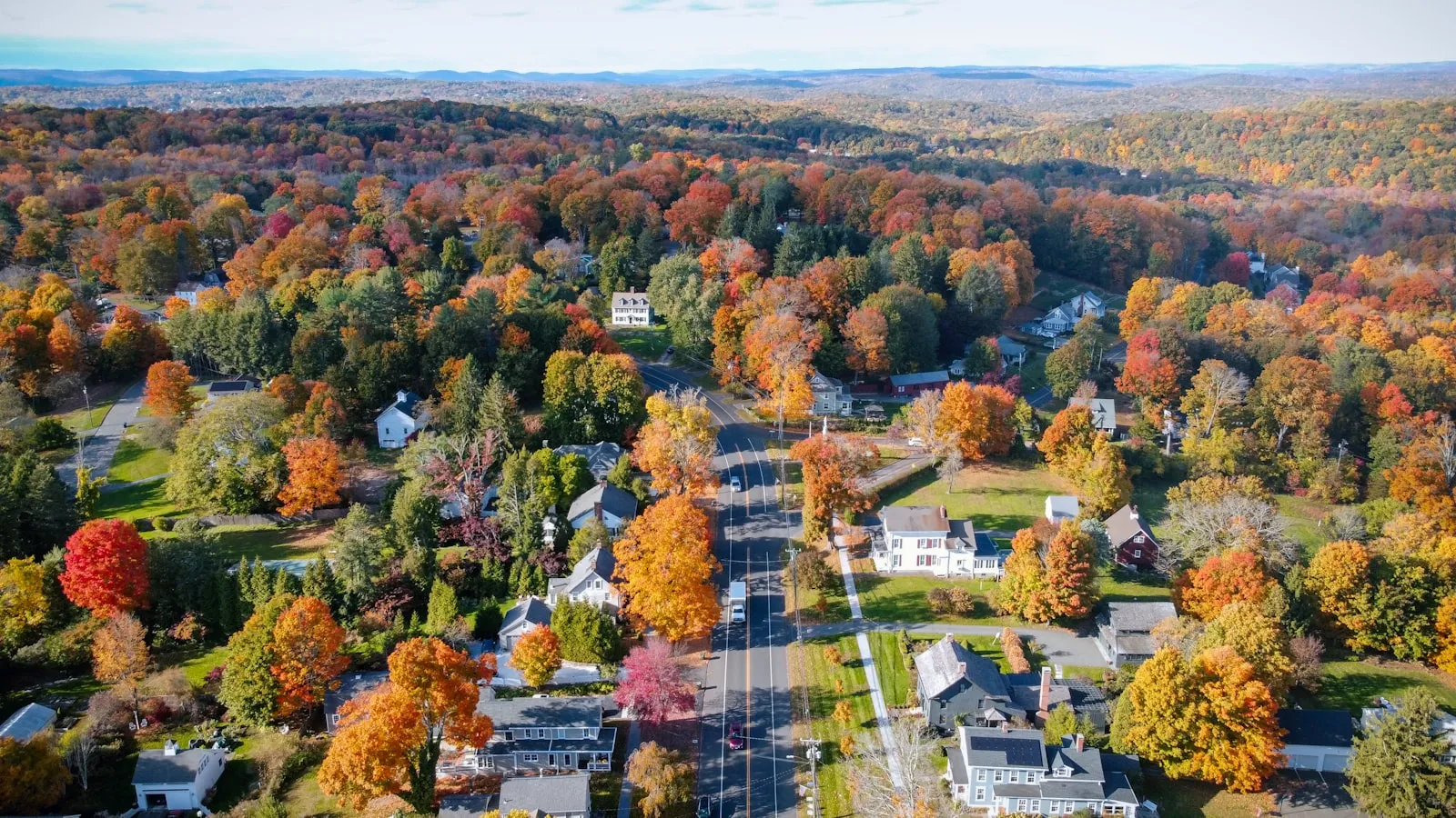 A group of houses and trees