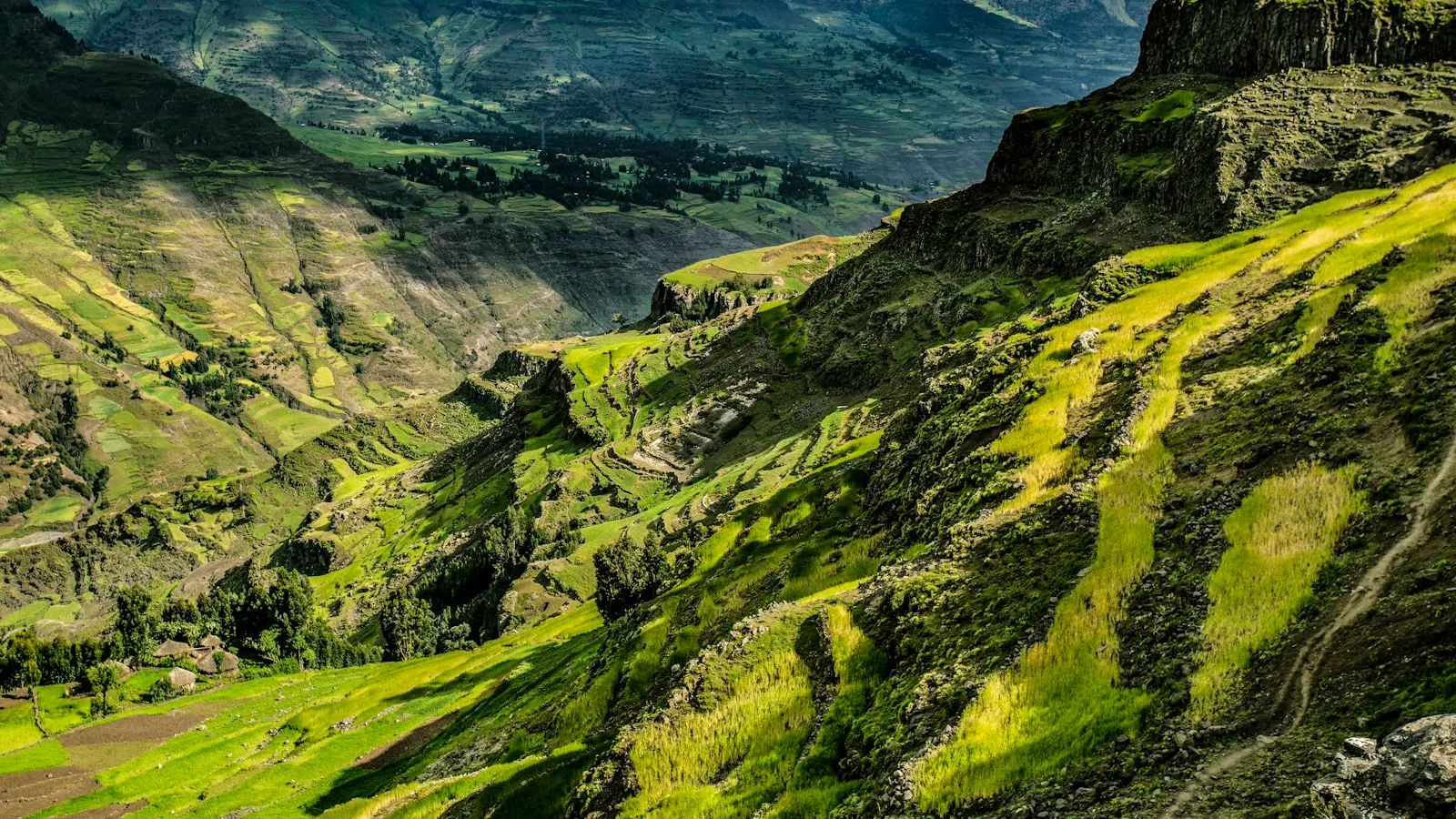 Aerial photography of mountain