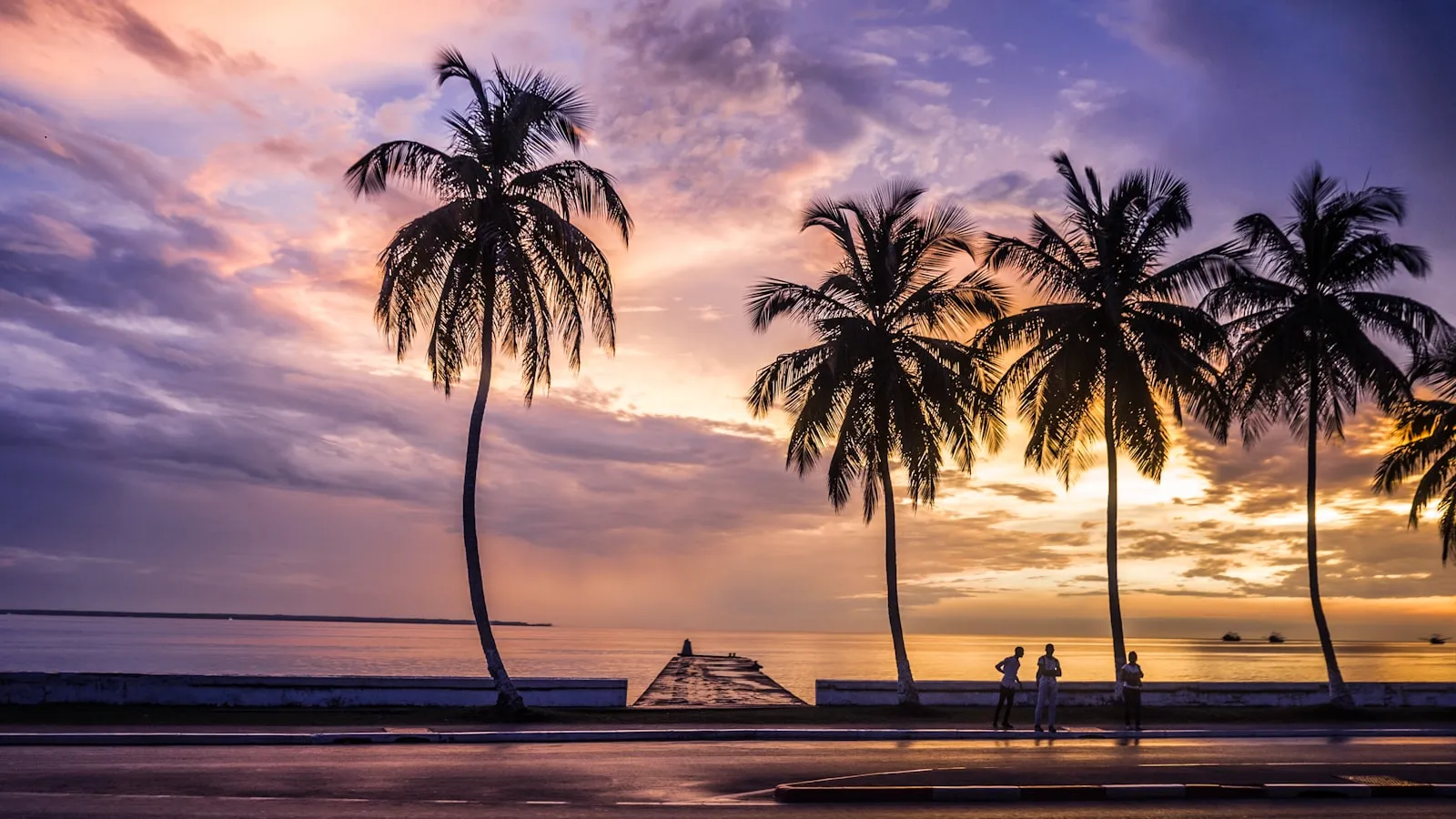 Silhouette of palm tree near body of water during sunset