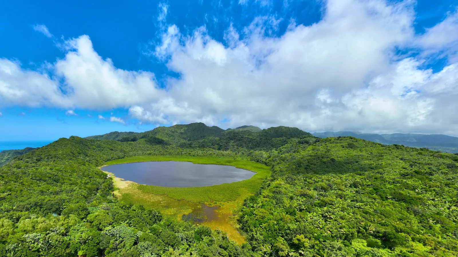A bird's eye view of a lake in the middle of a lush green