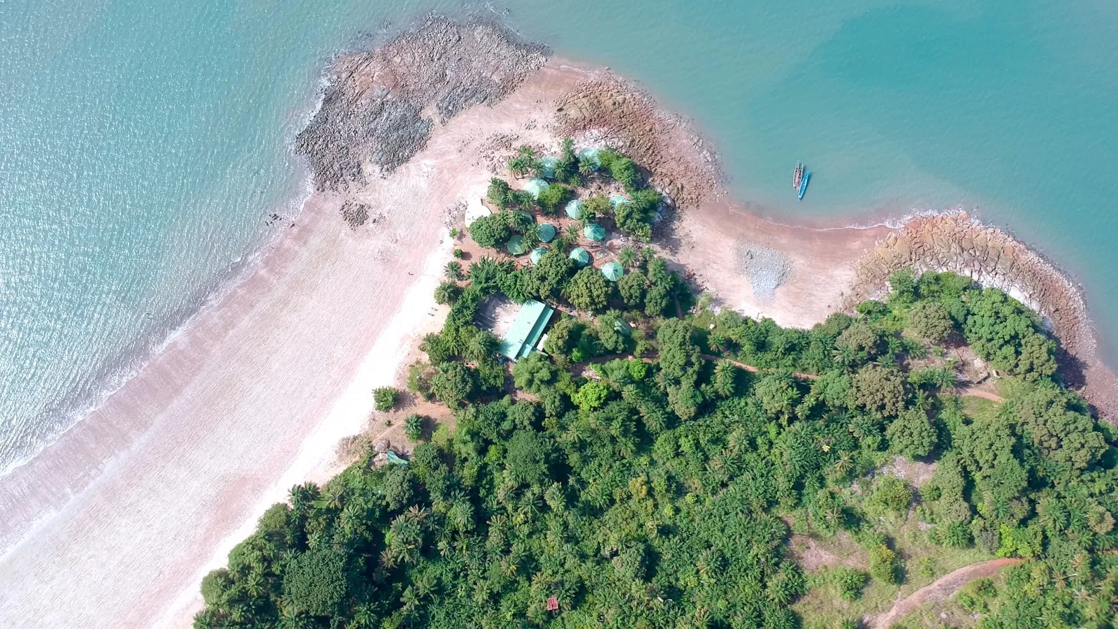 Aerial photography of trees and beach