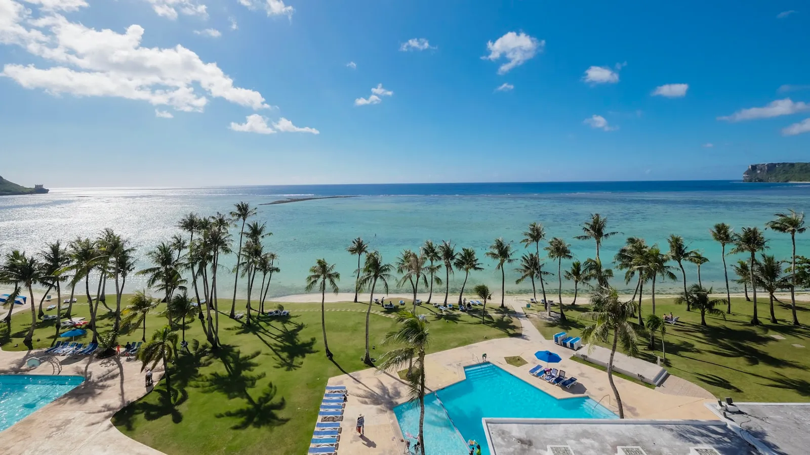 A pool and palm trees by the ocean