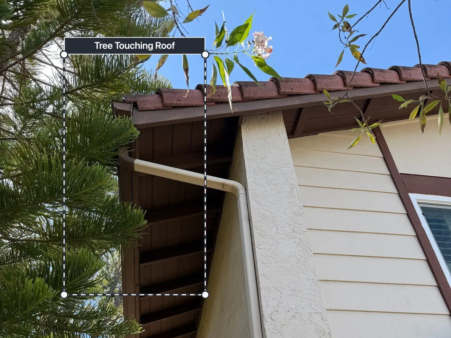 An exterior inspection photo annotated by Yembo AI, flagging a tree touching the roof as a hazard.