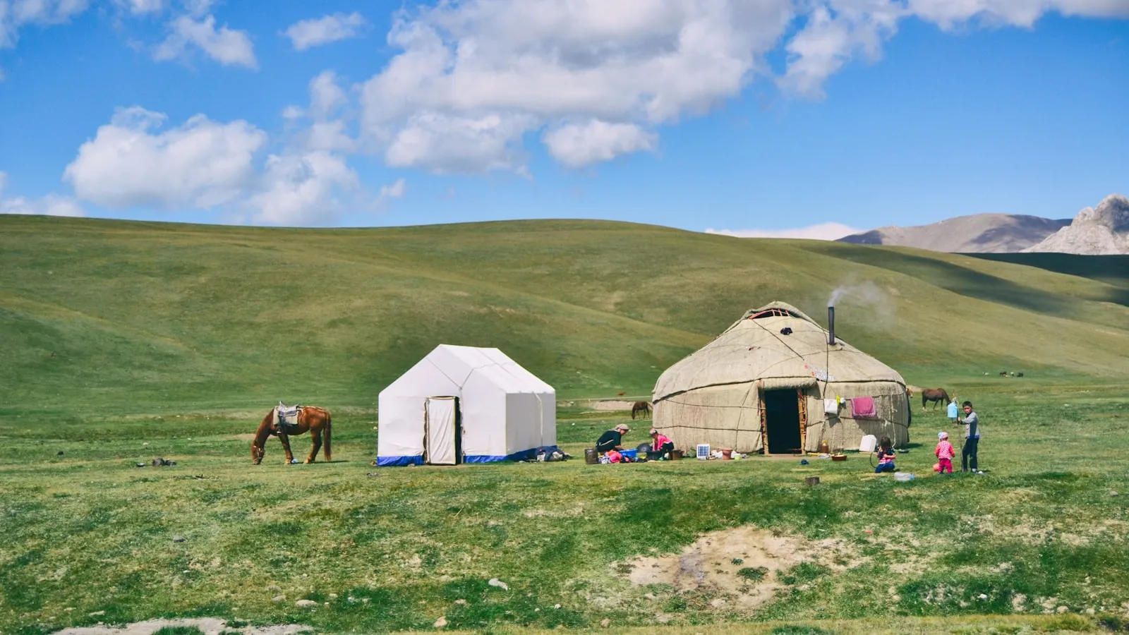 White canopy tent beside beside beige dome hut on green grass field at daytime