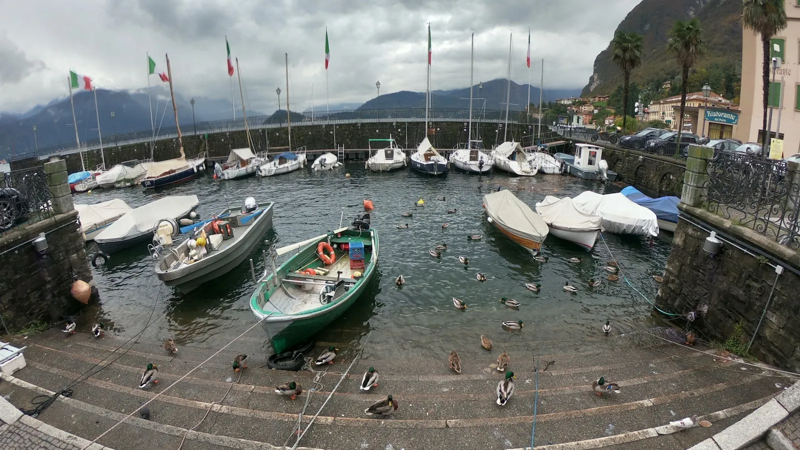 Green and white boat on dock during daytime