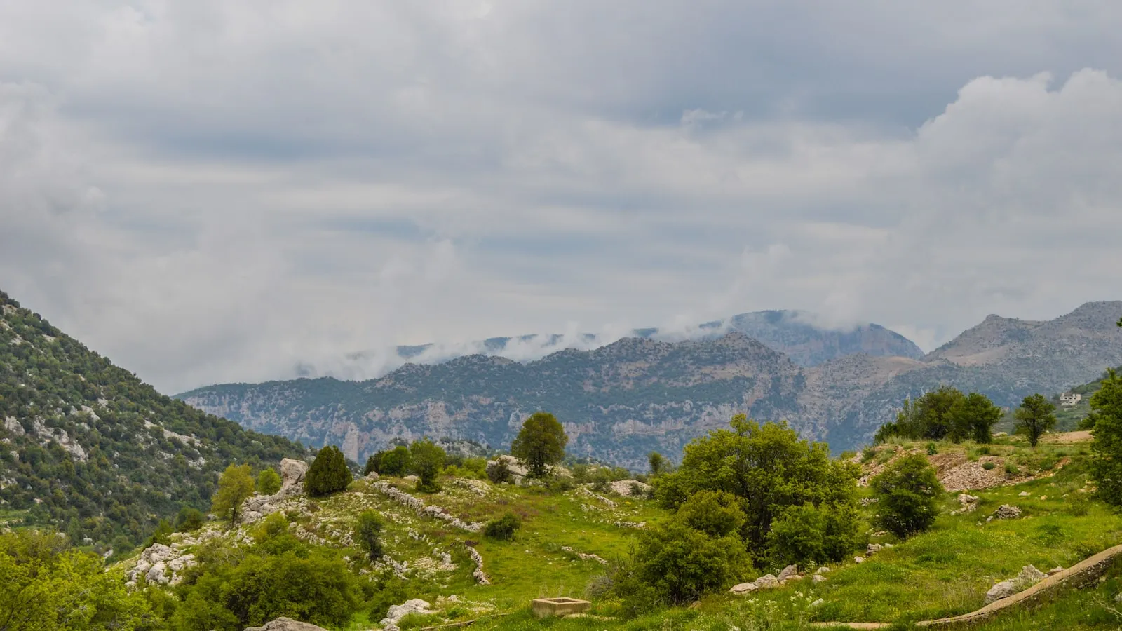 A landscape with hills and trees