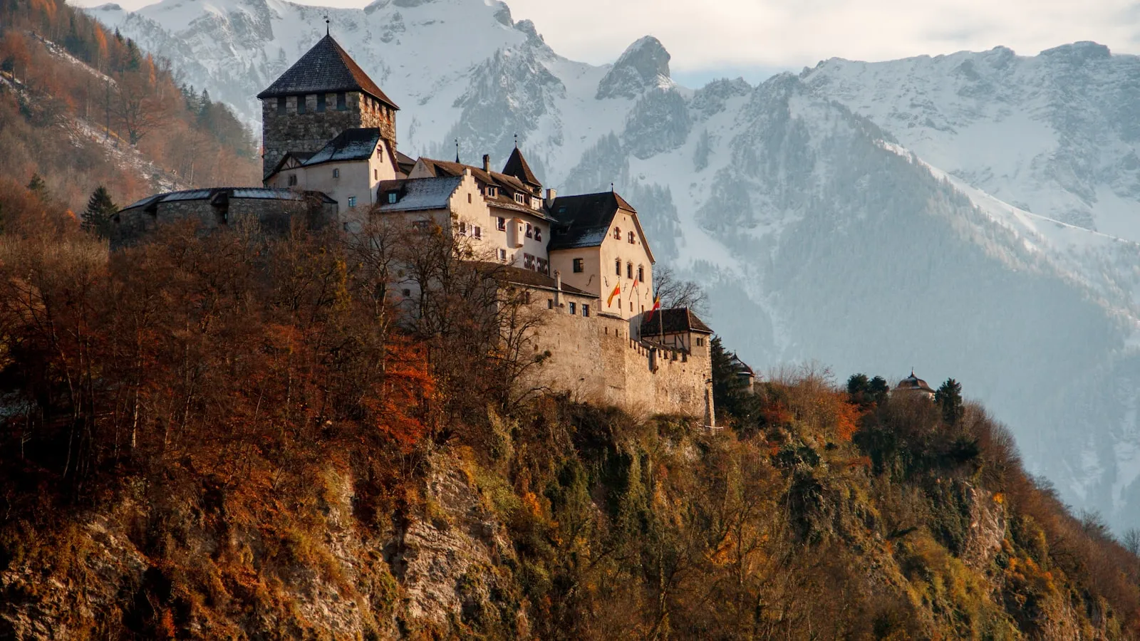 Castle on mountain surrounded by trees