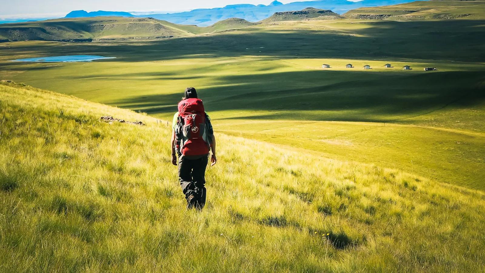 Man walking on green grass field