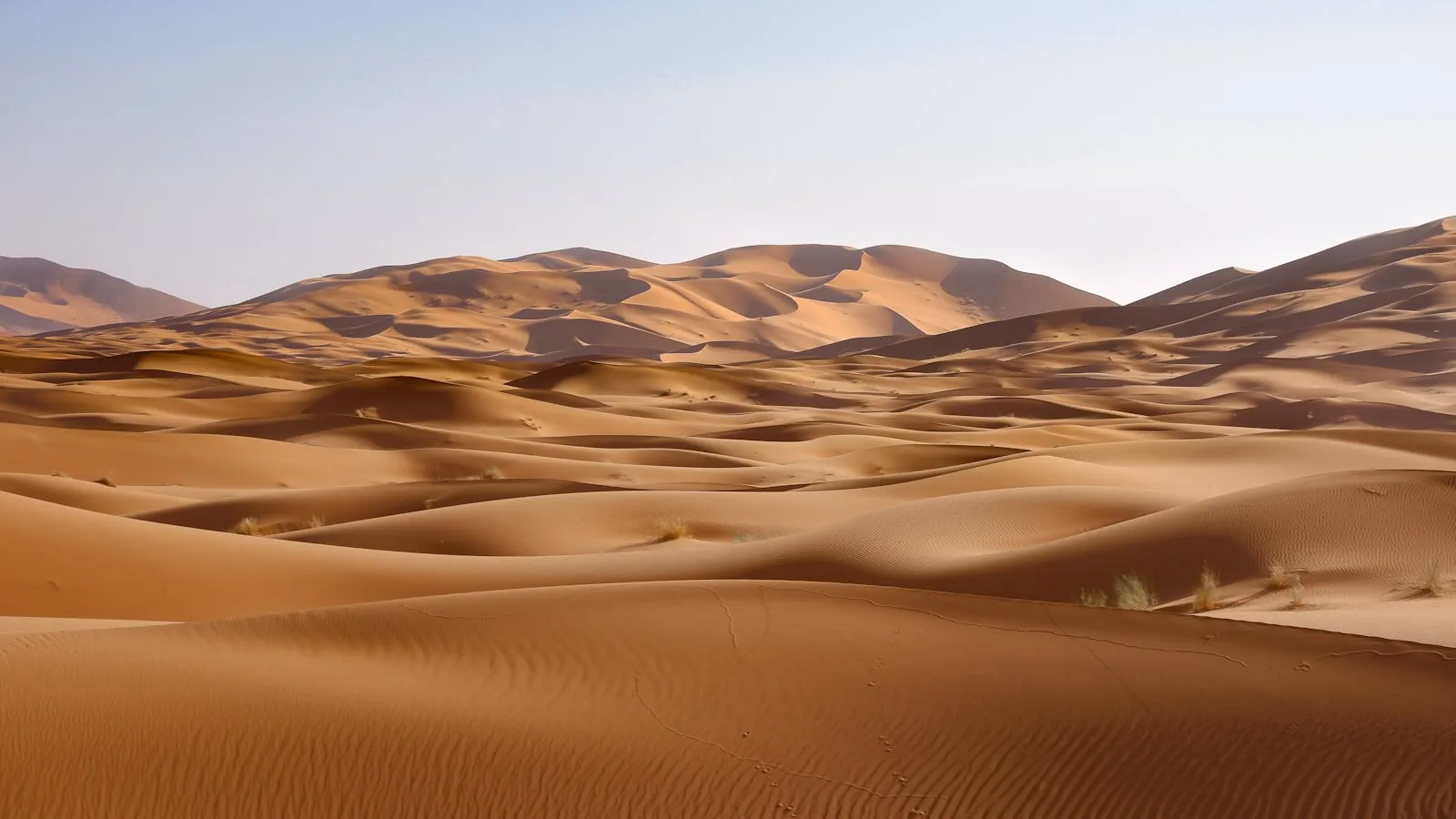 Brown desert under blue sky during daytime