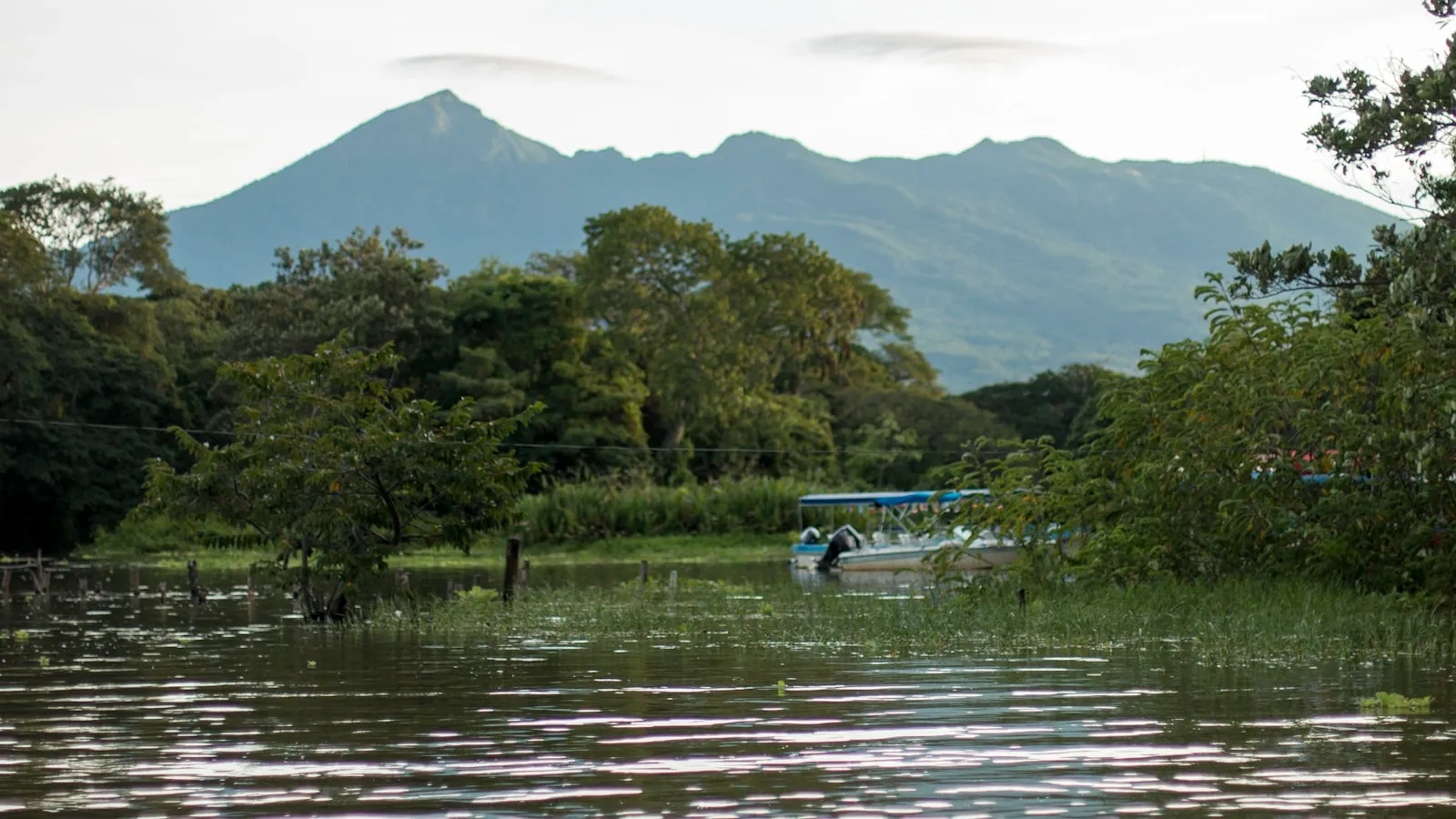 A boat in a lake