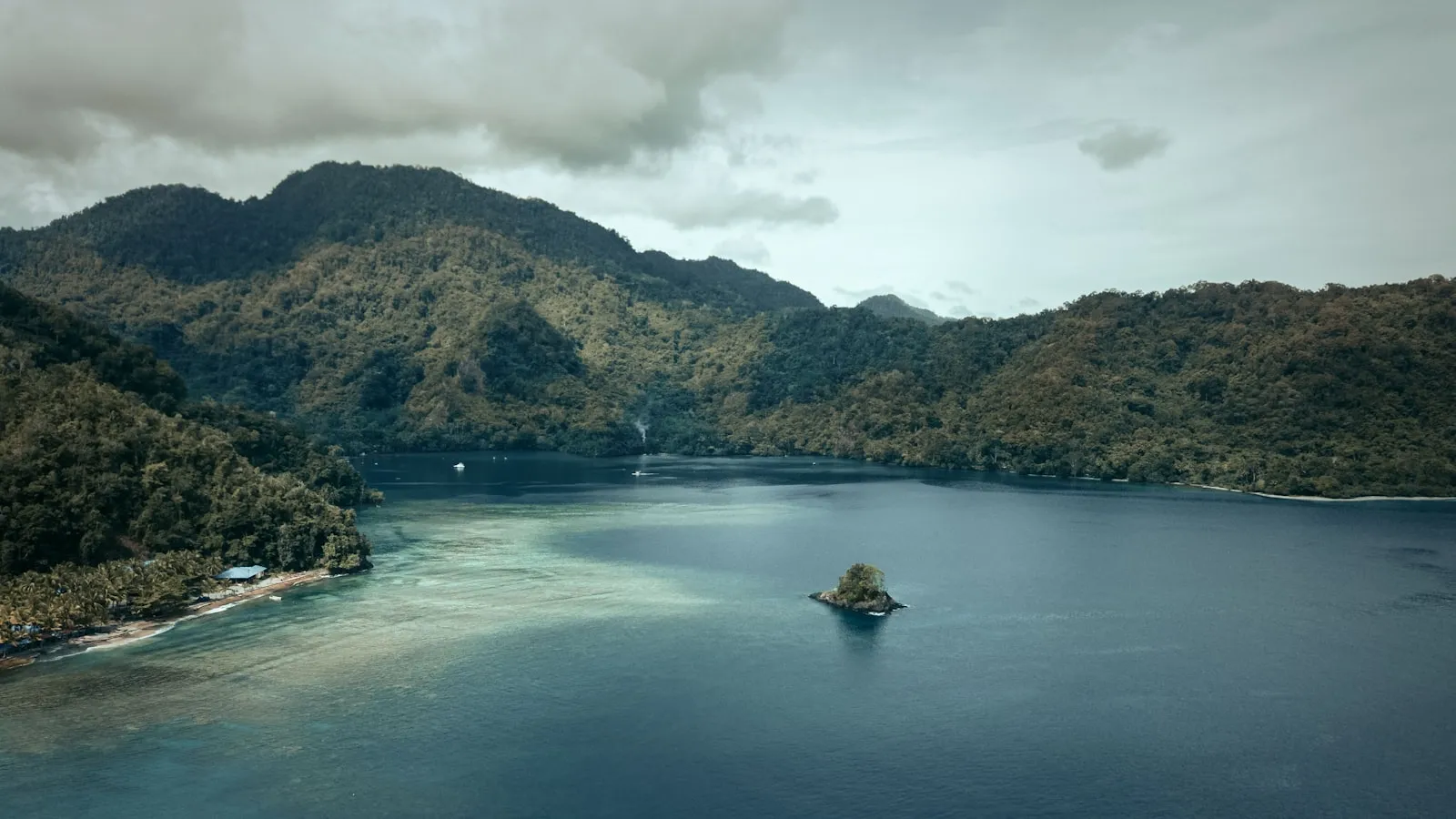 Green trees on island surrounded by water during daytime