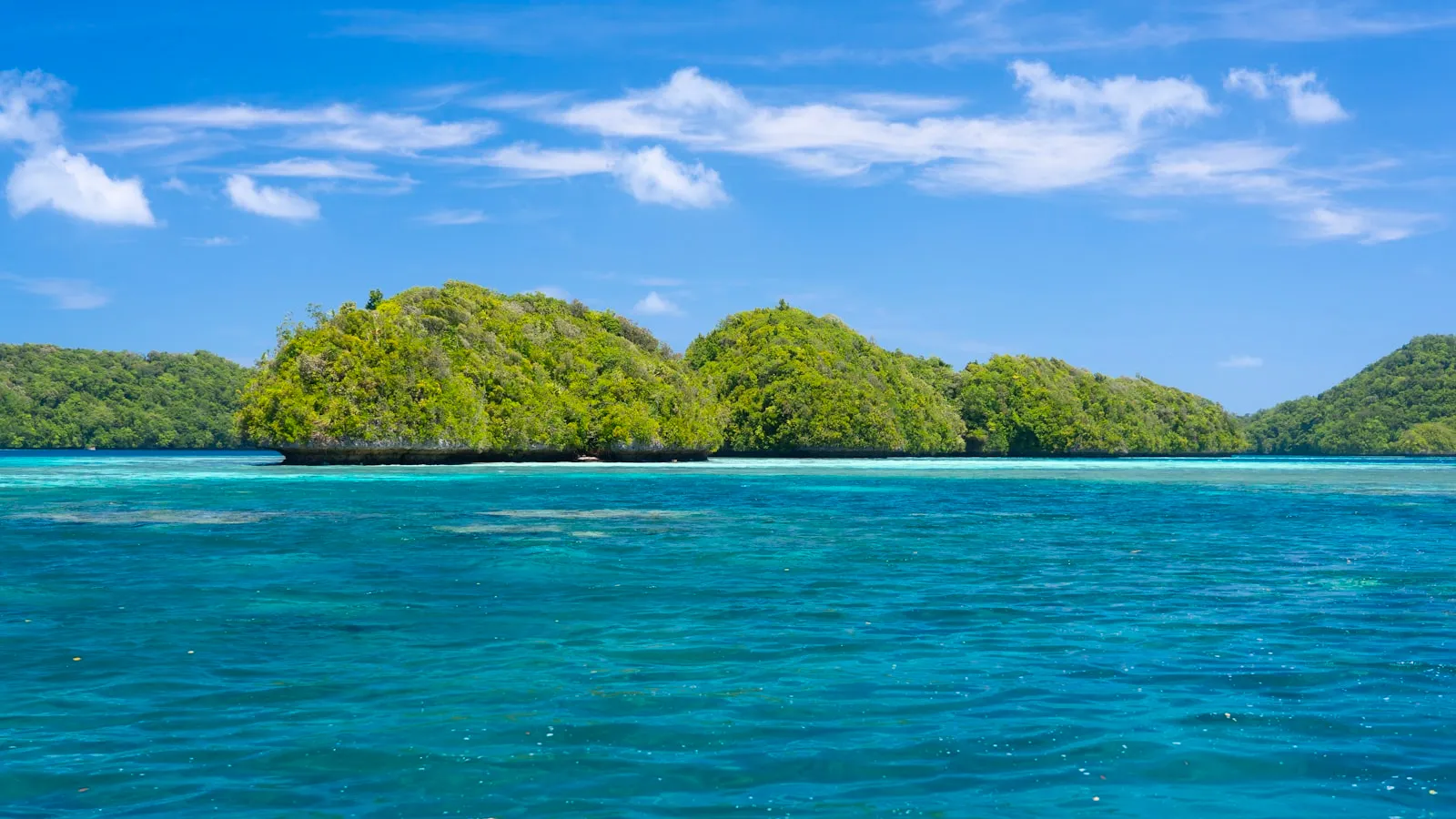 An island in the middle of a body of water