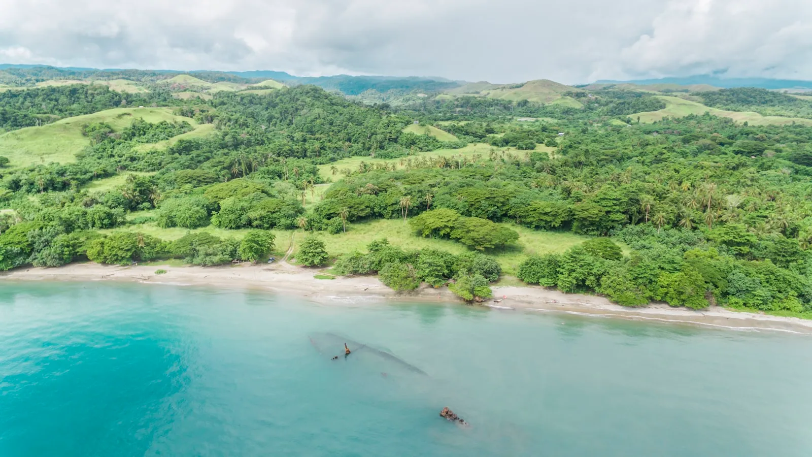 Green trees and body of water during daytime