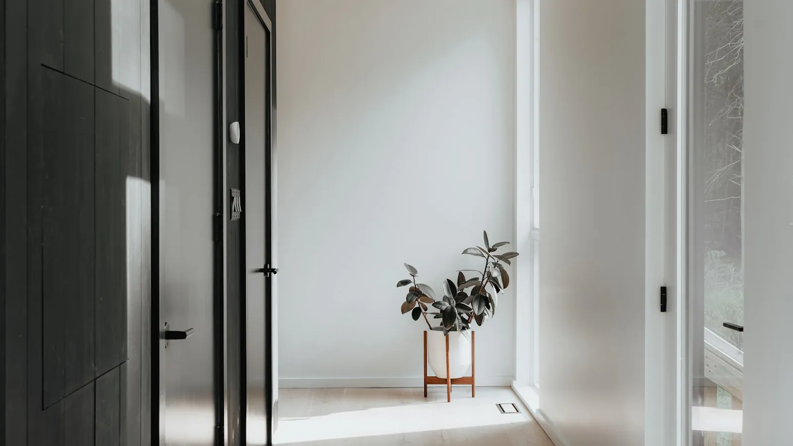 A room with a door and a plant in it