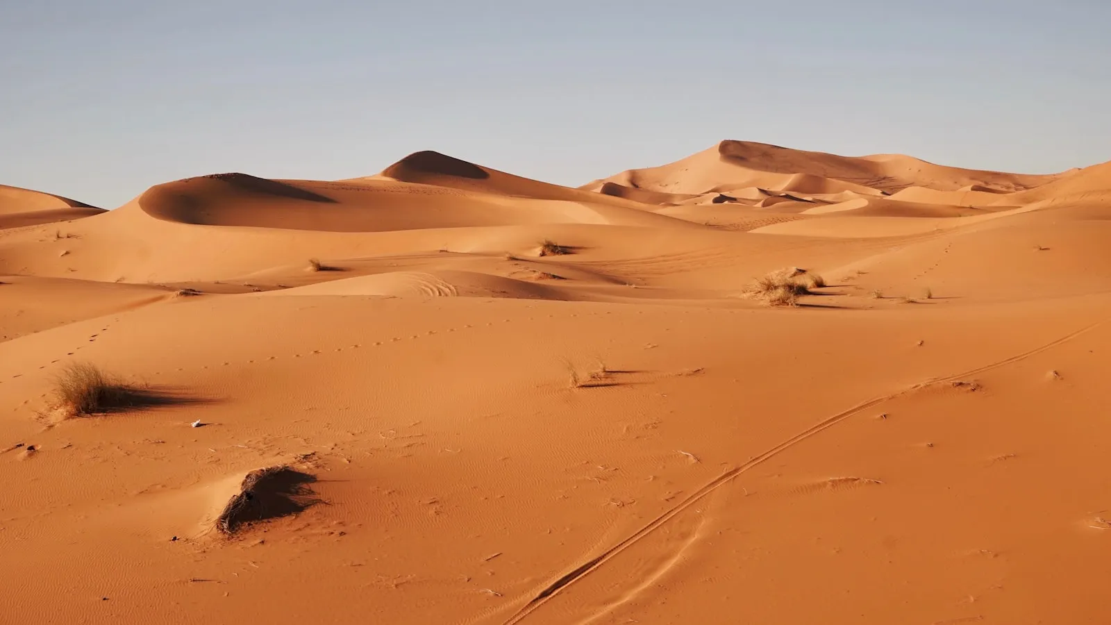 Landscape photography of desert