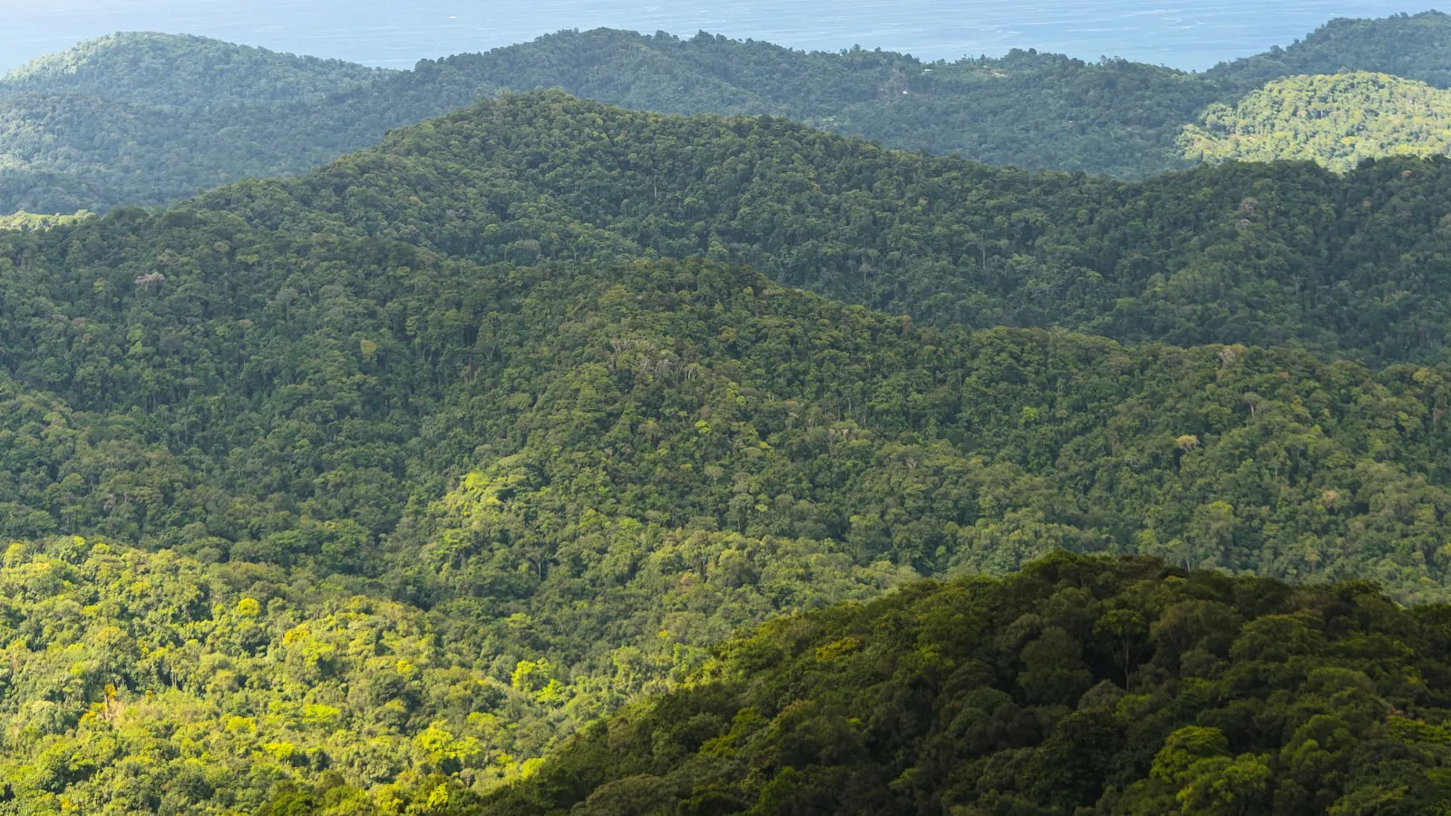 A view of a mountain range with a body of water in the distance
