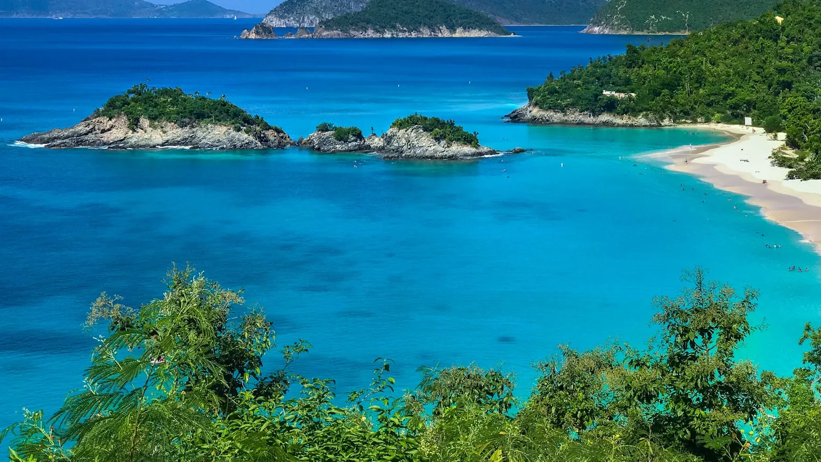 Green leafed trees and body of water