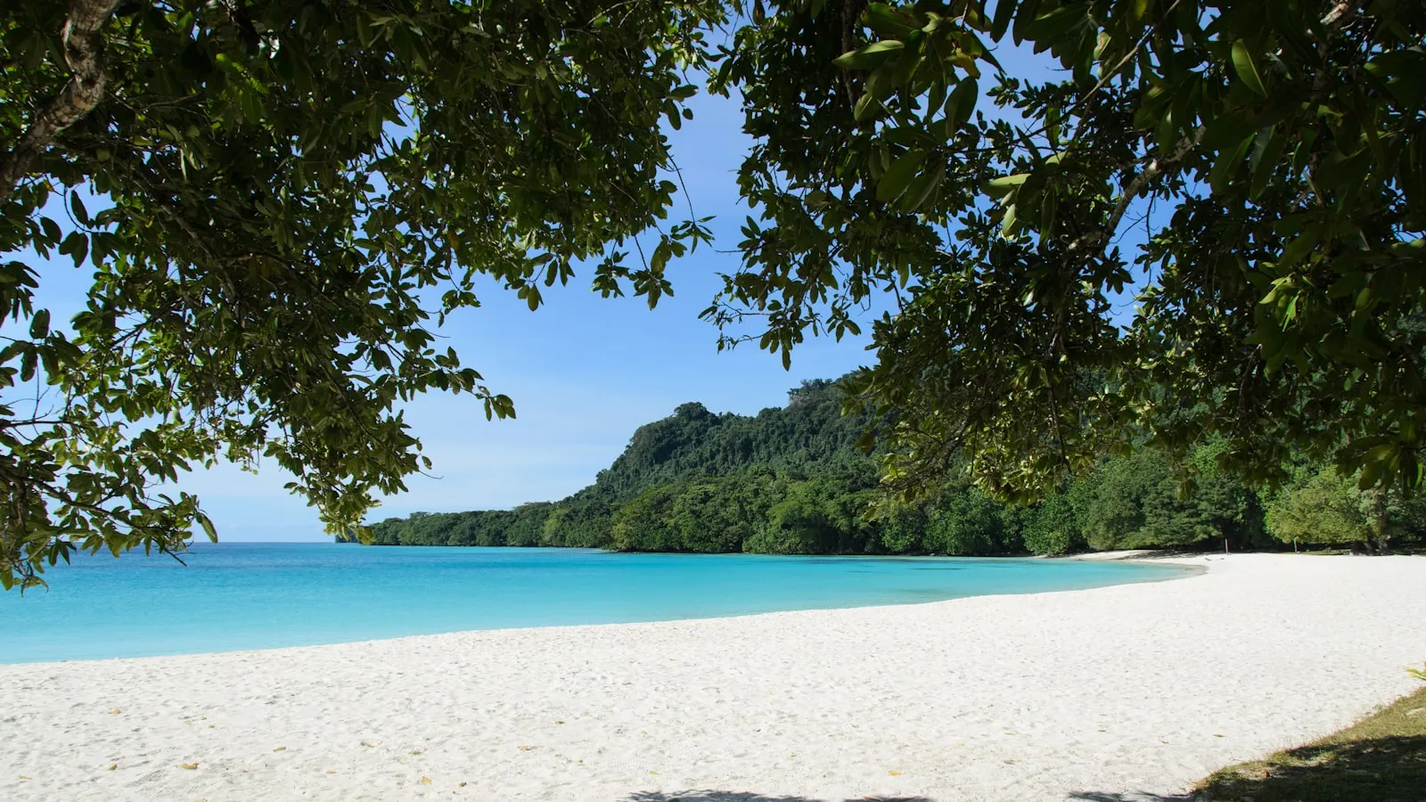 White sand beach with turquoise ocean framed by green trees.
