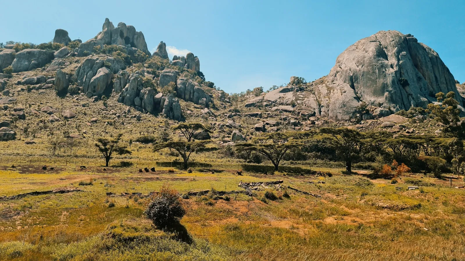 A grassy field with a mountain in the background